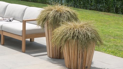 4 seasons outdoor miguel sfeerfoto 5